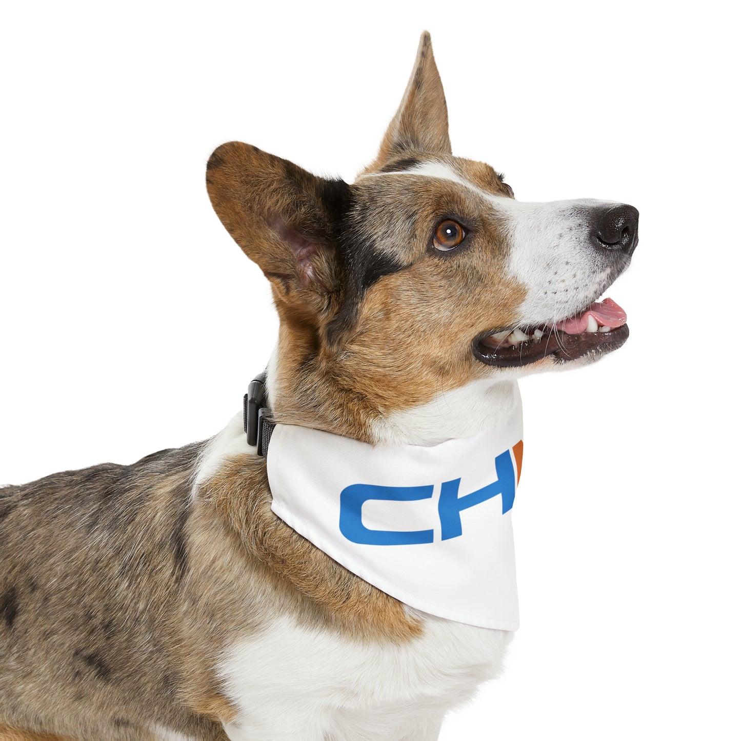 CHMD Pet Bandana